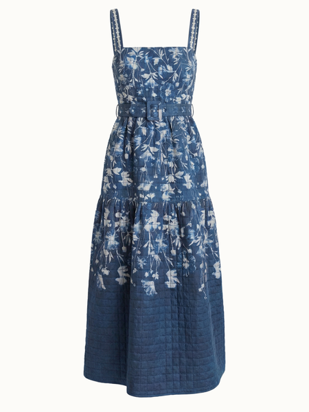 Clara midnight gardens dress
