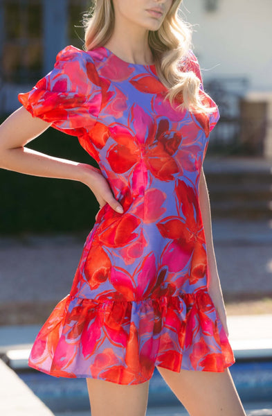Puff Sleeve Drop Waist Dress