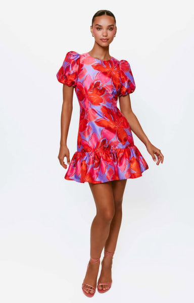 Puff Sleeve Drop Waist Dress