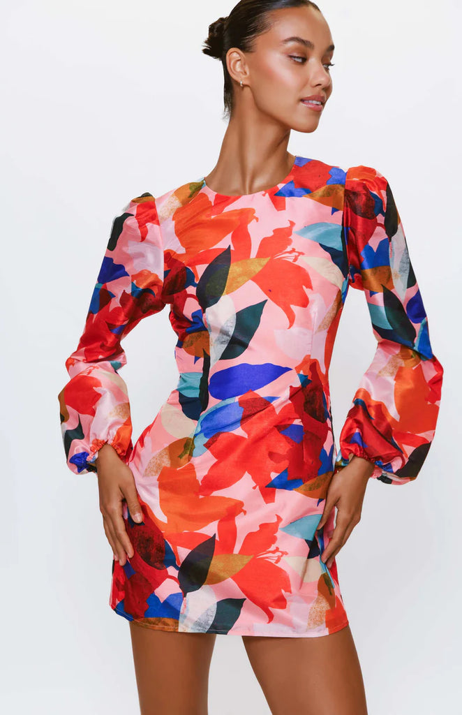 carolyn mini dress Carolyn Mini Dress