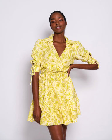 Citron Garden Mini Dress