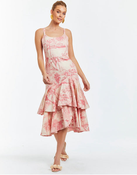 Pink Toile Gown