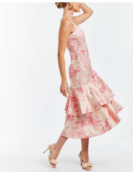 Pink Toile Gown