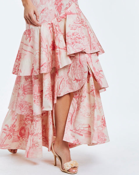 Pink Toile Gown