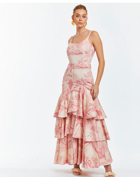 Pink Toile Gown